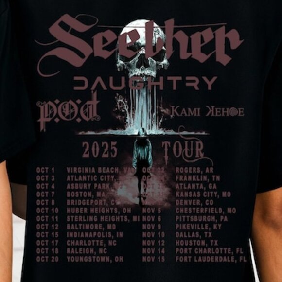 Seether Tour Shirt 2025, The Surface So Far Album Tee 140 - Picture 3 of 6